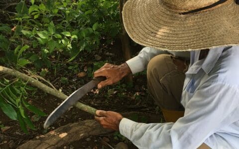 Machete, sombrero y más…